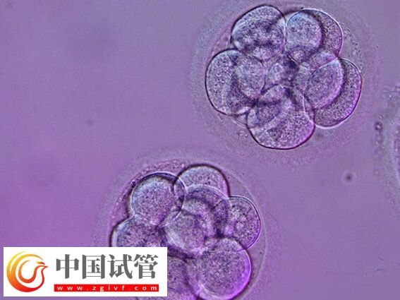 養囊成功送檢還有沒有風險(圖1)