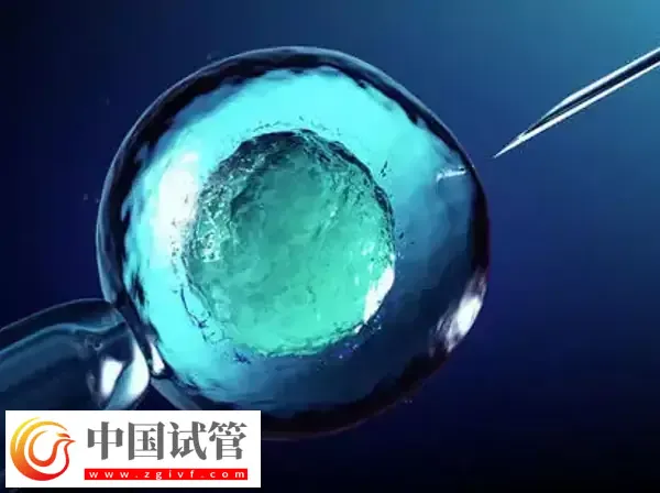 4BB囊胚PGS檢測成功率多高(圖1)