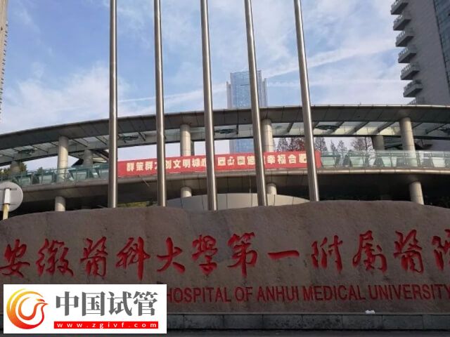 合肥安醫大吳歡做試管怎么樣(圖1)
