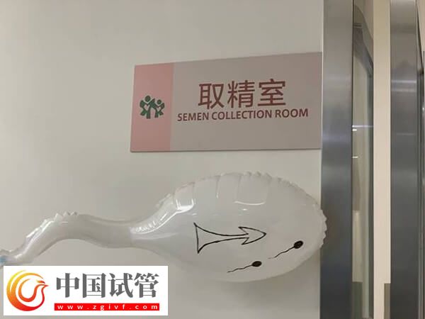 試管提前一天排精可不可以(圖2)