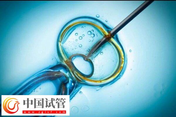 澳門試管成功率高不高(圖2)