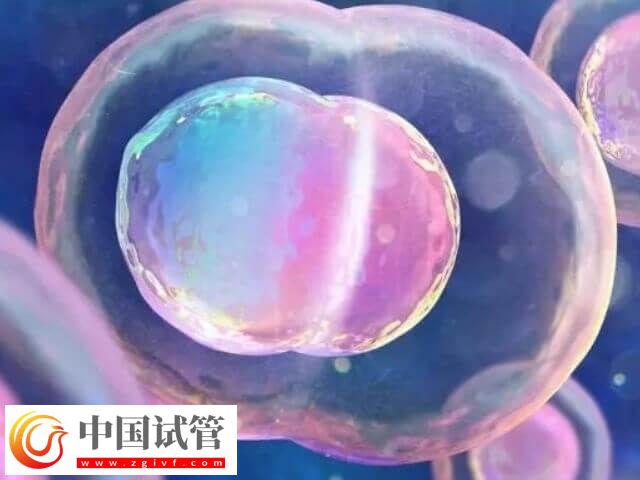 山大生殖高芹跟盛燕試管技術對比(圖1) 山大生殖高芹跟盛燕試管技術對比(圖1)