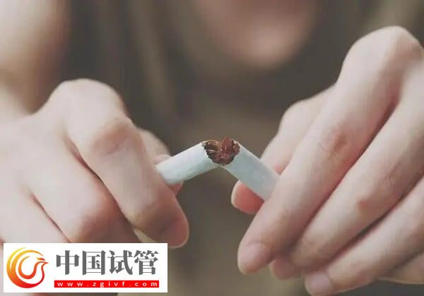 做試管是不是可以提高卵子質(zhì)量(圖2) 做試管是不是可以提高卵子質(zhì)量(圖2)