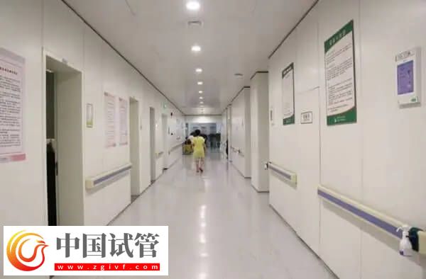 陜西省婦幼試管成功率多少(圖2) 陜西省婦幼試管成功率多少(圖2)