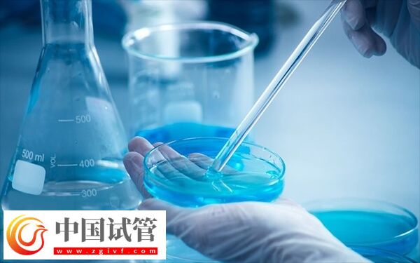 河南做試管哪家醫院成功率最高(圖2) 河南做試管哪家醫院成功率最高(圖1)