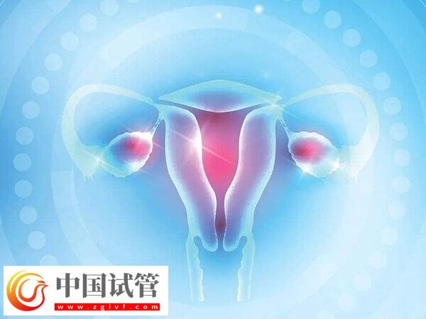 24歲卵巢早衰醫生說不用治怎么回事(圖2)