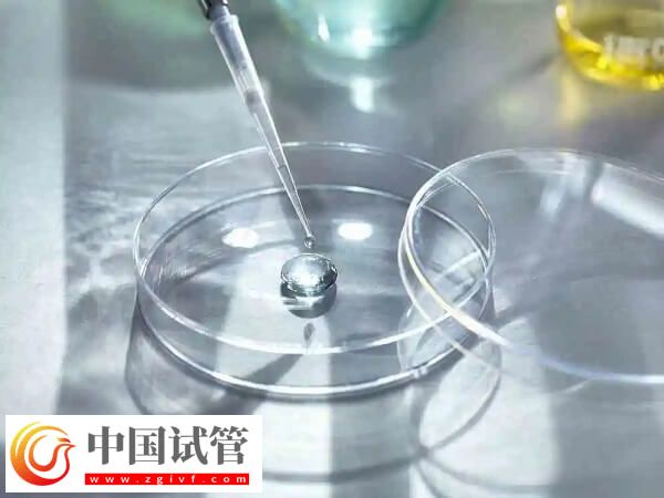 les試管嬰兒做一次多少錢了(圖1)