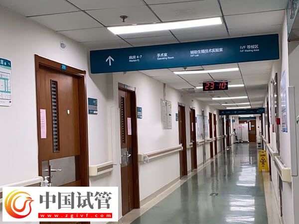 北京試管嬰兒成功率最高的醫(yī)院是哪個(gè)(圖2) 北京試管嬰兒成功率最高的醫(yī)院是哪個(gè)(圖2)