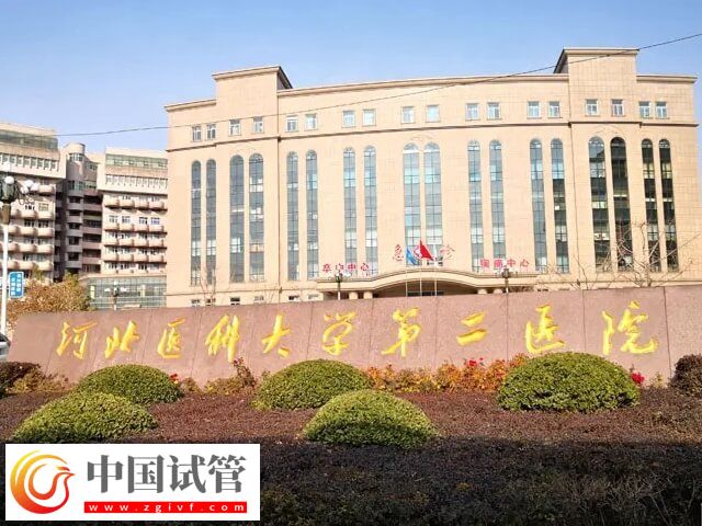 河北醫科大學第二醫院能做第三代試管嬰兒嗎？(圖1)