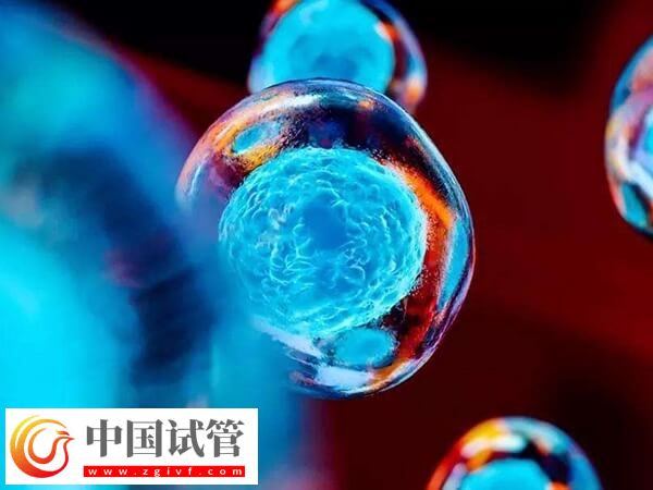 什么是第四代試管嬰兒(圖3)