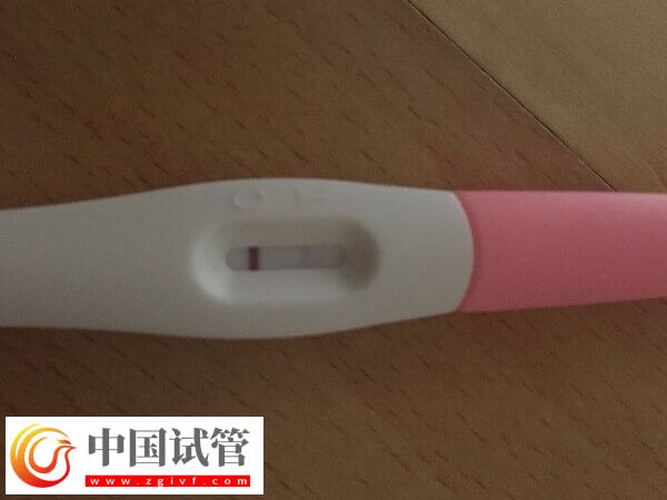 鮮胚移植十天后沒(méi)測(cè)出有沒(méi)有希望(圖1) 鮮胚移植十天后沒(méi)測(cè)出有沒(méi)有希望(圖1)