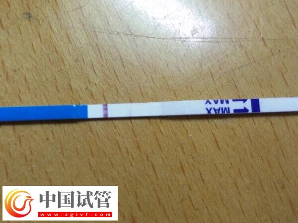 鮮胚移植十天后沒(méi)測(cè)出有沒(méi)有希望(圖3) 鮮胚移植十天后沒(méi)測(cè)出有沒(méi)有希望(圖3)