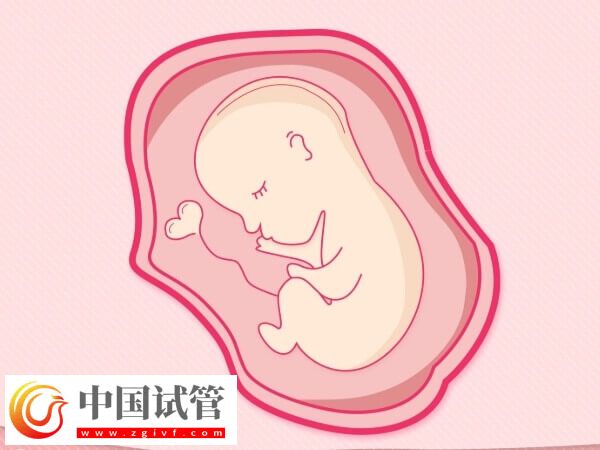 鮮胚移植失敗會不會腹痛和流血(圖3)