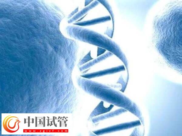 試管移植后有墜痛感正不正常(圖1)