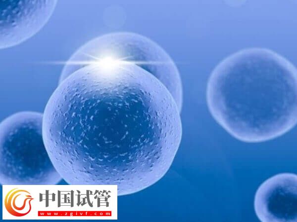 試管移植后有墜痛感正不正常(圖2)