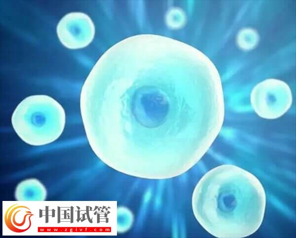 在長(zhǎng)春婦產(chǎn)醫(yī)院做一次試管嬰兒的費(fèi)用是多少呢？(圖1)