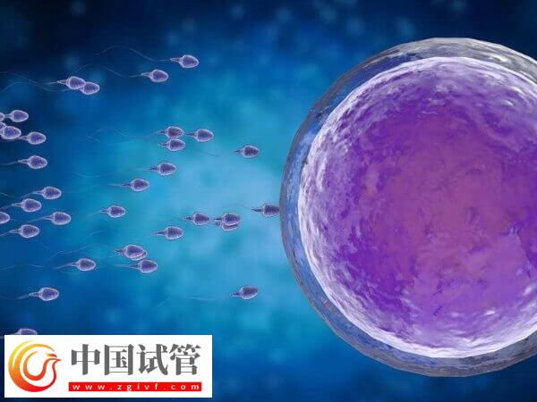 做試管促排卵要注意什么(圖2)