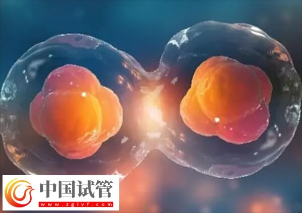 降調人工周期移植優點有哪些(圖1)