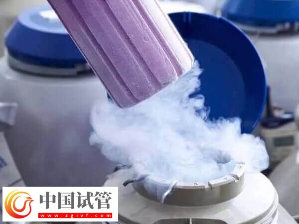 國內為什么禁止單身女性凍卵(圖2)