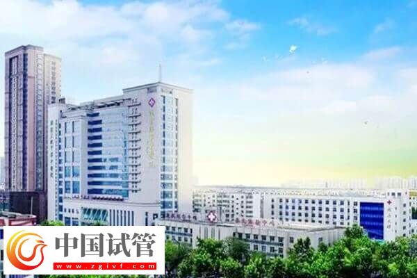 連云港不孕不育醫院有哪些(圖4) 連云港不孕不育醫院有哪些(圖4)