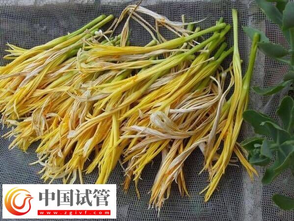 試管移植后吃干黃花菜對身體好不好(圖1) 試管移植后吃干黃花菜對身體好不好(圖1)