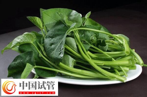 胚胎移植后吃空心菜是否有利于排便(圖2) 胚胎移植后吃空心菜是否有利于排便(圖2)