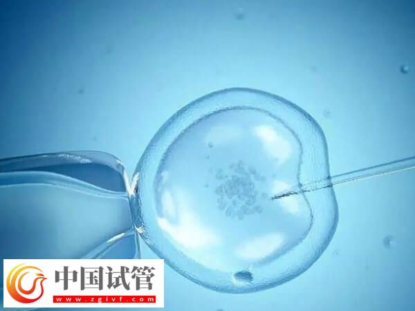 取卵后精卵不結合該怎么辦(圖2)