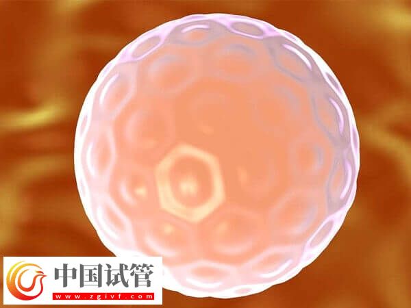 一移失敗二移成功率高不高(圖1)