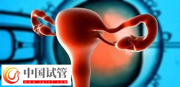 達(dá)菲林降調(diào)成功卵泡是多大(圖3) 達(dá)菲林降調(diào)成功卵泡是多大(圖3)