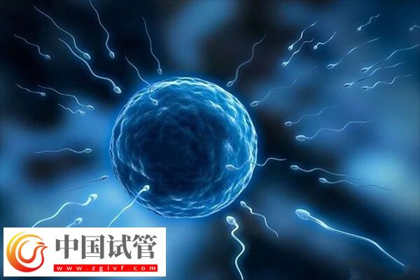 試管移植前幾天打免疫球蛋白(圖1) 試管移植前幾天打免疫球蛋白(圖1)