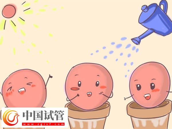 用果納芬促排的成功率高不高(圖1) 用果納芬促排的成功率高不高(圖1)