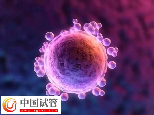 試管嬰兒中用果納芬好不好(圖1)