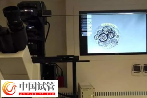 養囊失敗的三大原因是哪些(圖1) 養囊失敗的三大原因是哪些(圖1)