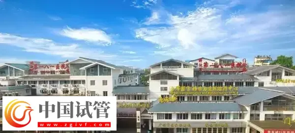 桂林三代試管嬰兒醫(yī)院有哪些(圖2) 桂林三代試管嬰兒醫(yī)院有哪些(圖2)