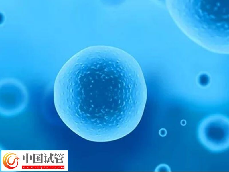 卵子質量不好影不影響胎兒健康(圖2)