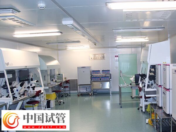 沈陽十大試管醫(yī)院有哪些(圖2) 沈陽十大試管醫(yī)院有哪些(圖2)