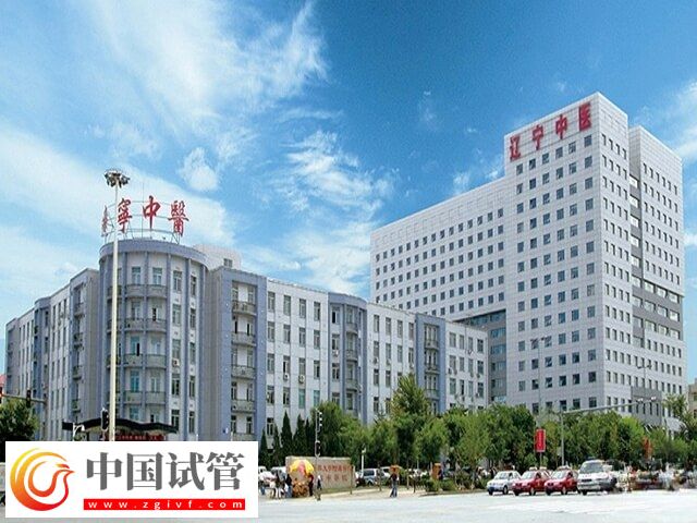 沈陽十大試管醫(yī)院有哪些(圖3) 沈陽十大試管醫(yī)院有哪些(圖3)