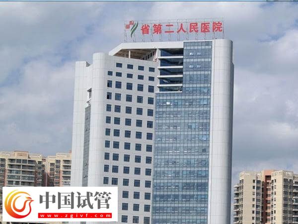 貴陽第二人民醫(yī)院試管嬰兒生雙胞胎費用多少(圖1)