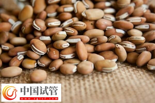 子宮肌瘤女性不能吃的食物有哪些(圖2) 子宮肌瘤女性不能吃的食物有哪些(圖2)