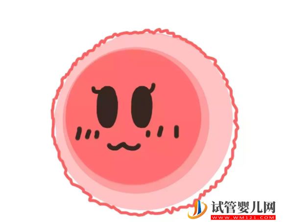 三代試管嬰兒 在黃南做第三代試管嬰兒的費(fèi)用大約多少?(圖1)