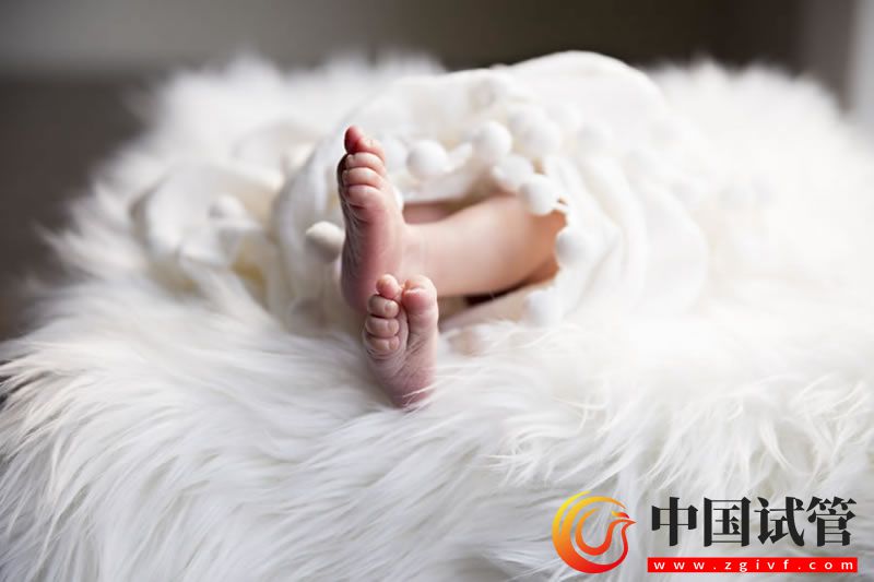 中國試管嬰兒網 上海仁濟試管成功率及費用 哪個醫生好(圖2)